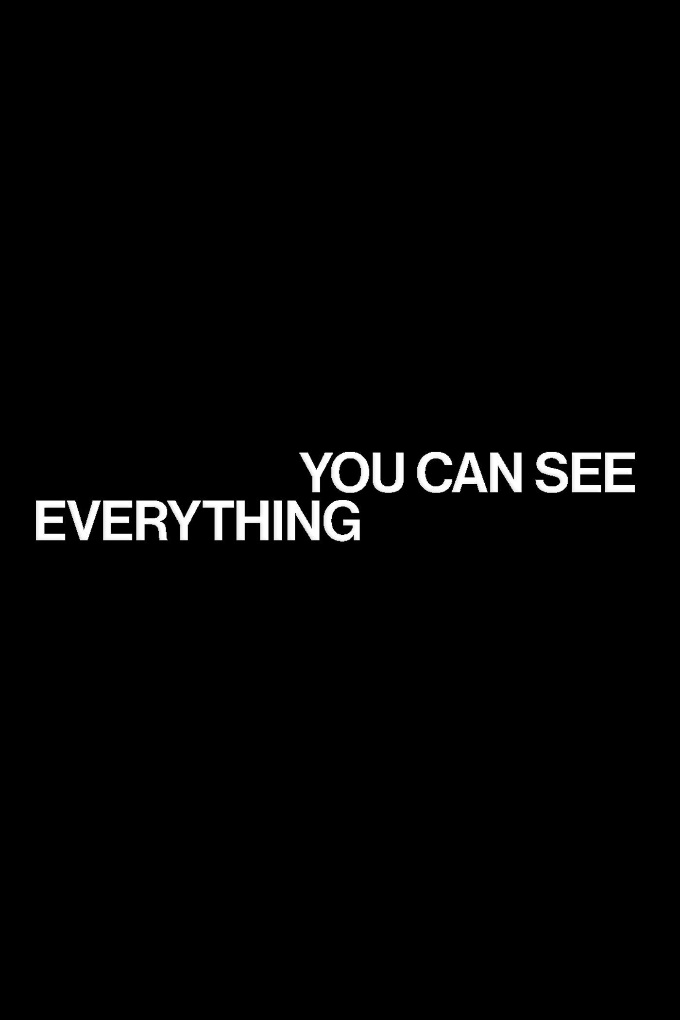YOU CAN SEE EVERYTHING