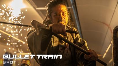 Bullet-Train-Takedown-20"-