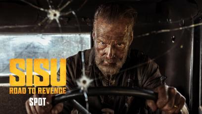 SISU:-Road-to-Revenge-–-Spot-Dictionary-30"-