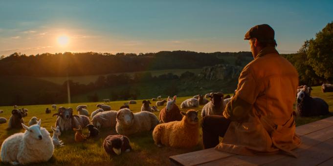 (von links nach rechts) Cloud, Daisy, Sir Ritchfield, Pickles, Oliver, Wool-Eyes, Zora, Mopple, das ohnmächtige Schaf, Lily, Reggie und Ronnie sowie Hugh Jackman als George Hardy in GLENNKILL: EIN SCHAFSKRIMI von Amazon MGM Studios. Bildnachweis: Mit freundlicher Genehmigung von Amazon MGM Studios  © 2026 Amazon Content Services LLC. Alle Rechte vorbehalten.