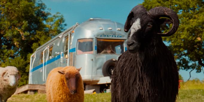 (von links nach rechts) Mopple, Lily & Sebastian in GLENNKILL: EIN SCHAFSKRIMI von Amazon MGM Studios. Bildnachweis: Mit freundlicher Genehmigung von Amazon MGM Studios   © 2026 Amazon Content Services LLC. Alle Rechte vorbehalten.