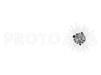 Protozoa Pictures